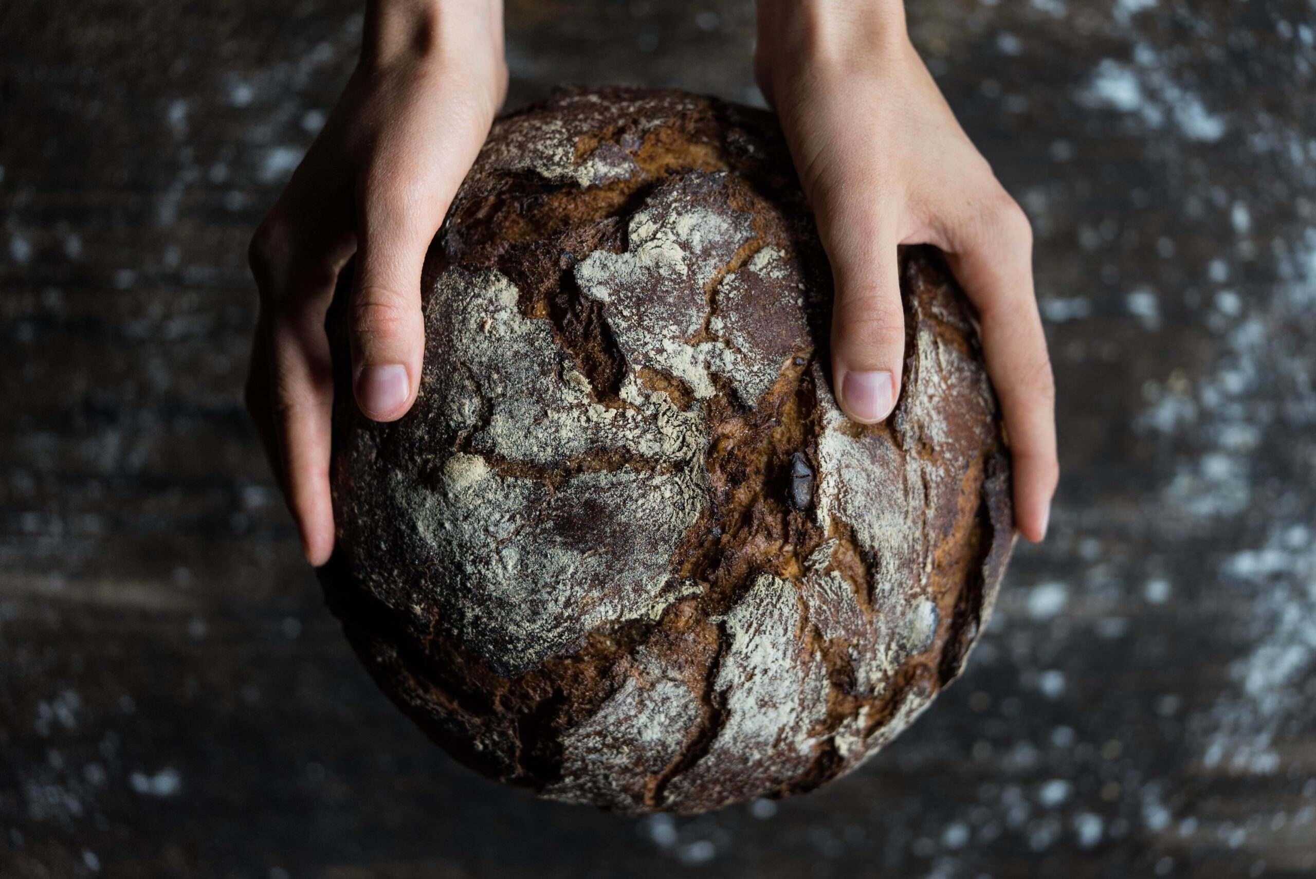 Holzbackofen Kaufen