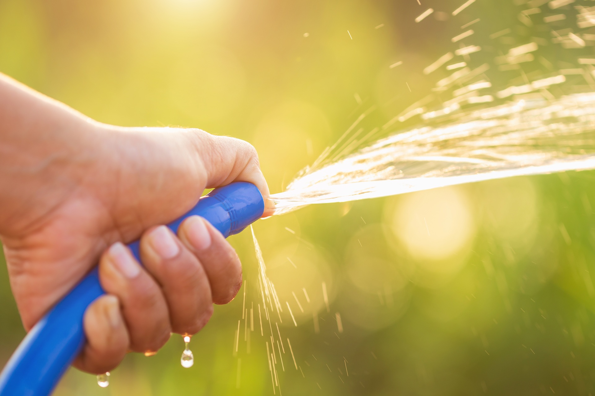 Gießen mit Gartenschlauch | Regenwasser filtern  