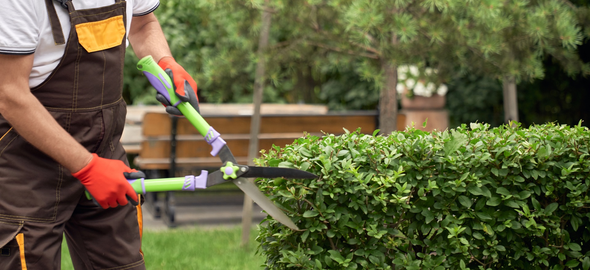 Hecke wird geschnitten | Regenwasser filtern