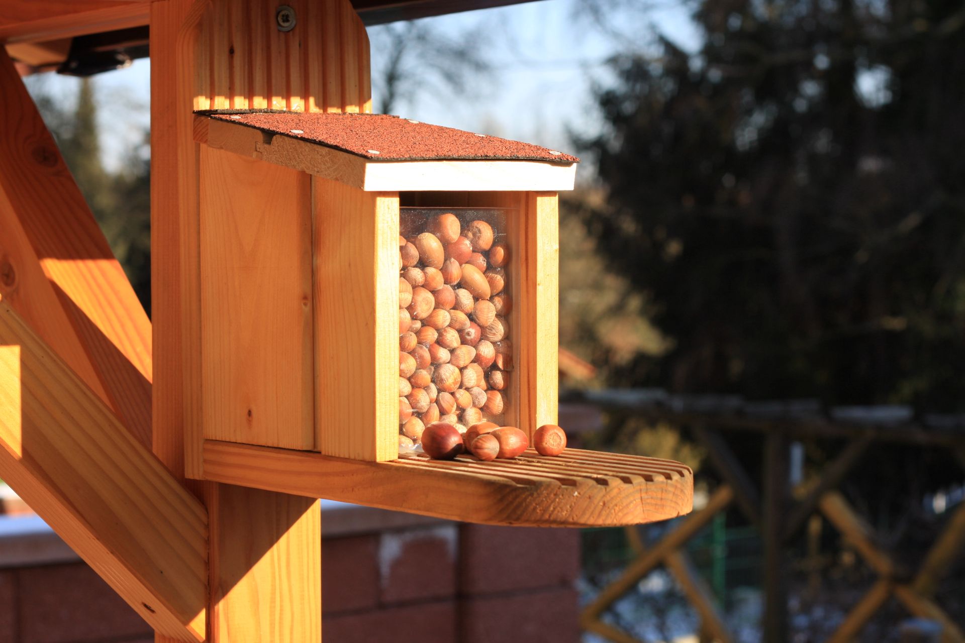 Holz Eichhoernchen Futterhaus im Garten gefuellt mit Haselnuesse fuer naturnahe Fuetterung